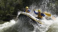 Whitewater Rafting Lower New River Gorge WV