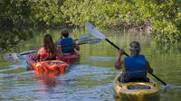 Half Day Kayak Rental