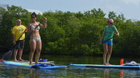 Stand Up Paddleboard Rental Photo