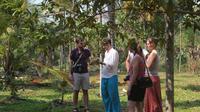 Spice Tour and Home Cooked Goan Lunch on an Organic Plantation