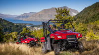 Off-Road U-Drive Challenger Buggy Tour from Queenstown 