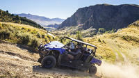 Scenic Guided Off-Road Buggy Tour from Queenstown 