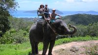 Elephant Trek and ATV Ride in Phuket