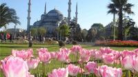 Faits saillants Istanbul Walking Tour