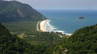 Private Tour: Rio Nature, Parque Lage and Beaches