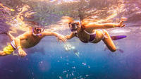 Journée complète de plongée avec tuba, sur l'île de Catalina, au départ de Punta Cana Journée complète de plongée avec tuba, sur l'île de Catalina, au départ de Punta Cana