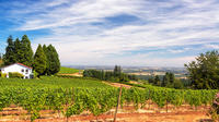 Private Dundee Hills Luxury Wine Tour