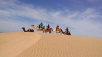 3-hour Dromedary Ride in Essaouira