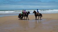 3 hours horse riding at Essaouira