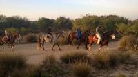 3 Heures équitation avec Diner et nuit De Essaouira