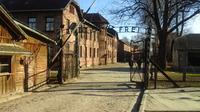 Full-Day Private Tour to Auschwitz from Wroclaw