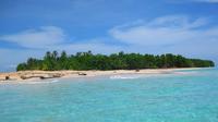 Full-Day Speedboat Tour from Bocas Town: Explore 5 Locales