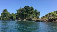 Speed Boat tour to Mangrove Point -Starfish Beach -Bocas del Drago and Birds Island