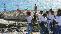 Full-Day Outback Antigua Agriculture-Ecological Tour