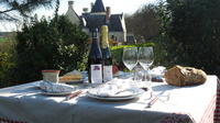 Picnic in the Vines Tour of Chinon, France