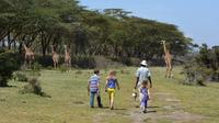 Excursion d'une journée Lac Naivasha De Nairobi avec déjeuner