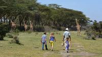 Lake Naivasha Walking with Animals Day Trip From Nairobi 