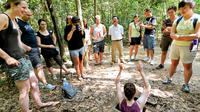 Cu Chi Tunnels Small-Group Tour from Ho Chi Minh City