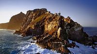 Cape Point and Peninsula Private Tour from Cape Town