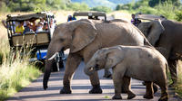 Pilanesberg Game Reserve Private Day Tour from Johannesburg