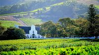 Private Constantia Wine Tour from Cape Town