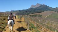 Private Wine Country Tour with a Twist from Cape Town