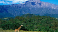 Full Day To Arusha National Park