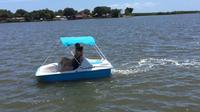 1-Hour Dolphin Pedal Boat Rental in Daytona Beach