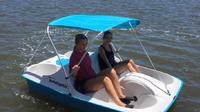 Half-Hour Dolphin Pedal Boat Rental in Daytona Beach