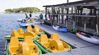 Half-Hour Electric Assisted Pedal Boat Rental in Daytona Beach