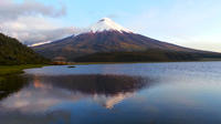 Visita de día completo a Cotopaxi desde Quito, con almuerzo incluido Visita de día completo a Cotopaxi desde Quito, con almuerzo incluido
