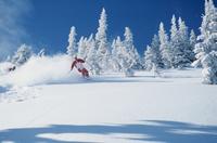 Demo Ski Rental Package from Jackson Hole