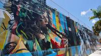 Best of Wynwood: Street Art and Gallery Tour