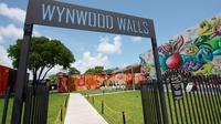 Wynwood Walls and Street Art Tour