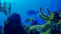 SCUBA Diving Tour at Roatan's North Shore