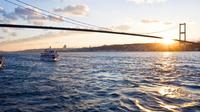 Afternoon Bosphorus Cruise Along the Shore From Istanbul