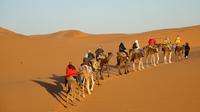 2-Day Zagora Desert Tour from Marrakech