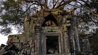 Day Trip to Beng Mealea Temple and Kampong Khleang from Siem Reap