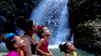 Excursión a la selva tropical El Yunque, Playa de Luquillo y Bahía Bioluminiscente en kayak Excursión a la selva tropical El Yunque, Playa de Luquillo y Bahía Bioluminiscente en kayak