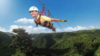 Zipline Extravaganza from San Juan