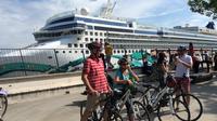 Panoramic Parenzana Biking Tour