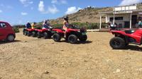 4-Hour Quad ATV Adventure from Philipsburg