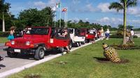 St Maarten 4x4 Jeep Safari: Marigot, Grand Case and Mullet Bay