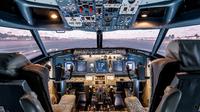 One-Hour Scenic Flight Simulator