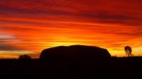 3-Day Alice Springs to Ayers Rock Camping Tour Including Kata Tjuta and Kings Canyon