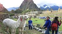 15-Day Peru Tour from Lima Including Paracas, Arequipa and Puno