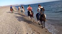 Horseback Riding Tour in Andalucia