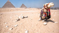 Safari Tour: Horse or Camel Ride at Sunrise at Giza