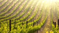 Excursión para grupos pequeños a Champagne desde París con almuerzo de 4 platos Excursión para grupos pequeños a Champagne desde París con almuerzo de 4 platos