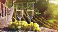 Visit of Reims and Champagne Tasting Day Trip from Paris